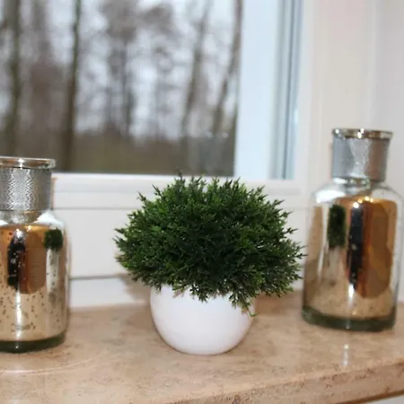 Hafendomizil Haus 5 8 Plau am See